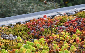 the cost of Wearhead green roof installation