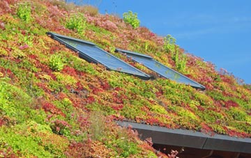Wearhead living roof systems